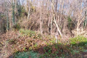 Immobile in asta di 11200 m² a Castello di Brianza