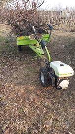 motocoltivatore Grillo Fior Fiore