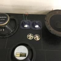 Altoparlanti fostex sonora esb