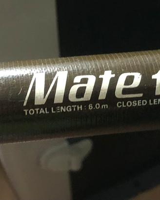 Canna da pesca Daiwa Mate 121L-60 lunghezza mt.6