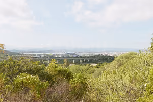 Terreno Agricolo Olbia [Cod. rif 3310887VCG]