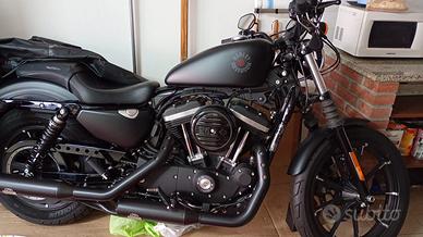 HARLEY DAVINDSON mod.883