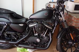 HARLEY DAVINDSON mod.883