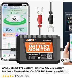 Test batteria bm 300 pro  Smart shunt nuovo