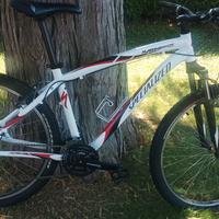 specialized hardrock