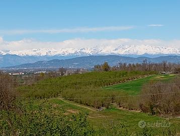 TERRENO POSIZIONE PANORAMICA -- zona ROERO