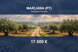 Immobile in asta di 7781 m² a Marliana