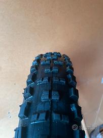 Copertoni maxxis