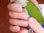 Immagine 1