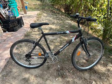 Mountain Bike vintage