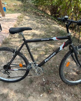 Mountain Bike vintage