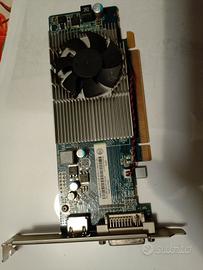 scheda video Radeon R5