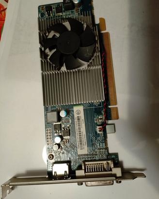 scheda video Radeon R5