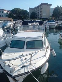 Gobbi 599 con motore 4 tempi