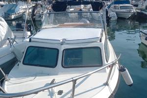 Gobbi 599 con motore 4 tempi