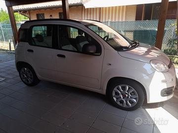 fiat panda 1.2 benzina neo patentati