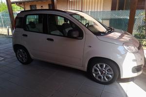 fiat panda 1.2 benzina neo patentati