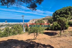 MARTOGNA - Soluzione indipendente + terreno