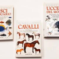 LIBRI ILLUSTRATI - collana Guarda e Scopri (LOT 2)