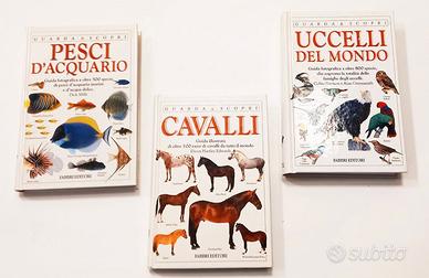 LIBRI ILLUSTRATI - collana Guarda e Scopri (LOT 2)