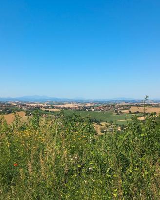 Rustico nelle colline di OFFAGNA