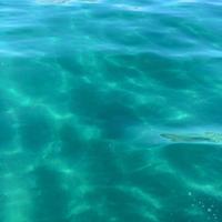 Calabria casa vacanze sul mare