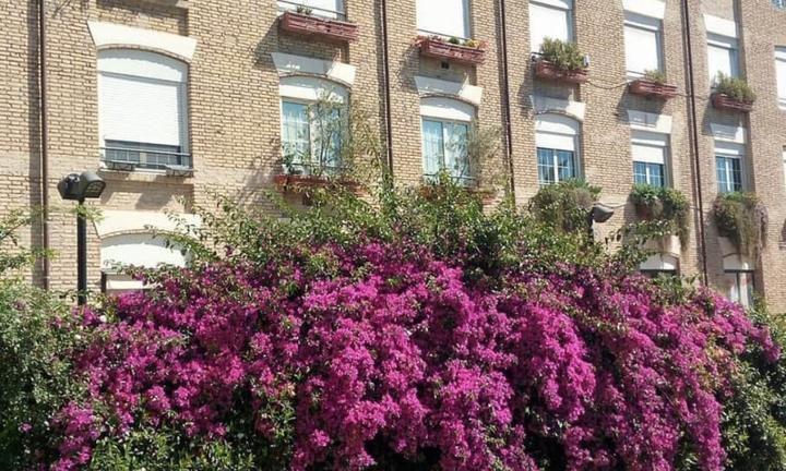 Ufficio-Studio in Via Antonio Pacinotti