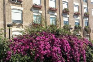 Ufficio-Studio in Via Antonio Pacinotti