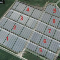 Serre agricole