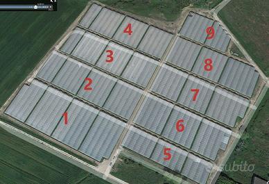 Serre agricole