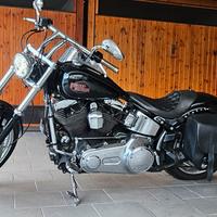 harley davidson softail custom 