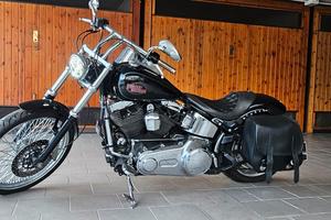harley davidson softail custom 