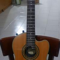 Chitarra Washburn