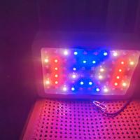 Lampada per coltivazione canapa