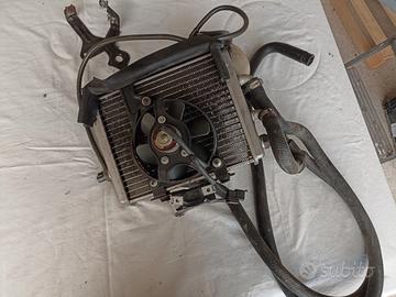 Radiatore Leonardo 250