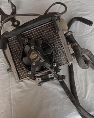 Radiatore Leonardo 250