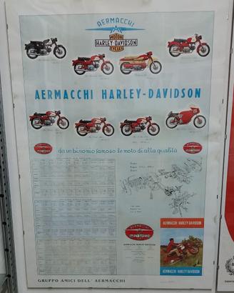 AERMACCHI HARLEY DAVIDSON