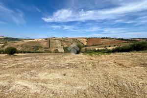 TER. AGRICOLO A MOSCIANO SANT'ANGELO