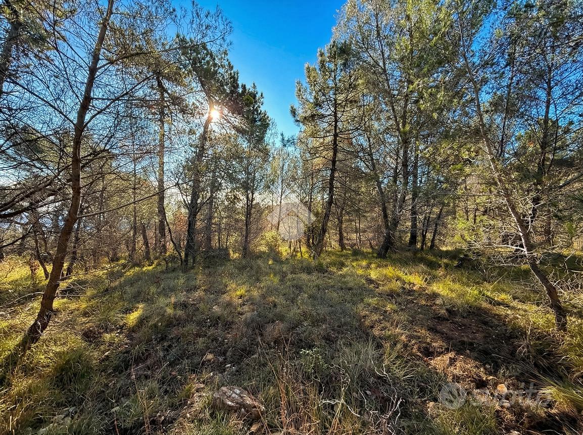 TER. RESIDENZIALE A CIPRESSA - Altro