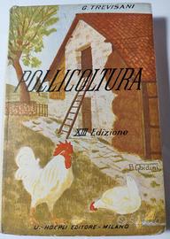 "Pollicultura" Manuale - Hoepli 1929