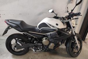 Yamaha XJ6