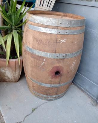 Botte in legno barrique
