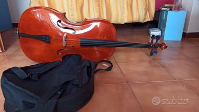 Violoncello