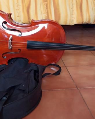 Violoncello