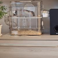 gabbia per piccoli roditori 