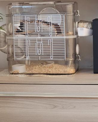 gabbia per piccoli roditori 