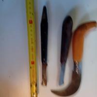 coltelli per innesto