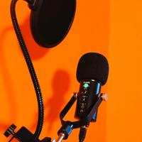 🟥PREZZO😱SUPER PRODOTTO⭐MICROFONO USB CON BRACCIO