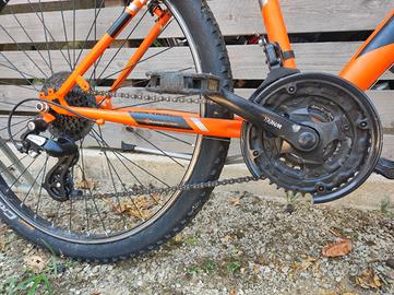 Bici Casadei 26''