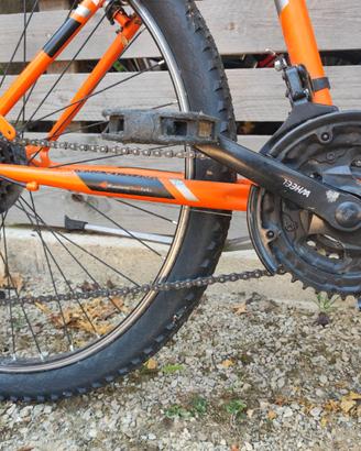 Bici Casadei 26''